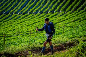 BIB: 
                            <button type="button" onclick="openModal(19160427)" class="btn btn-primary btn-sm float-right btn-popup" data-toggle="modal" data-target=".modal-high-quality">
                        <i class="fas fa-shopping-cart"></i> Add to Cart
                    </button>
                                            <button type="button" onclick="isThisMe(19160427, true)" class="btn btn-success btn-sm float-right btn-popup btn-isme hidden" data-toggle="tooltip" data-placement="bottom" title="นี่คือรูปของคุณใช่ไหม คลิกที่นี่เพื่อเอาเข้าอัลบั้ม">
                        <i class="fas fa-plus"></i> Add to album
                    </button>
                    <button type="button" onclick="isThisMe(19160427, false)" class="btn btn-warning btn-sm float-right btn-popup btn-isnotme hidden">
                        <i class="fas fa-ban"></i> Remove from album
                    </button>